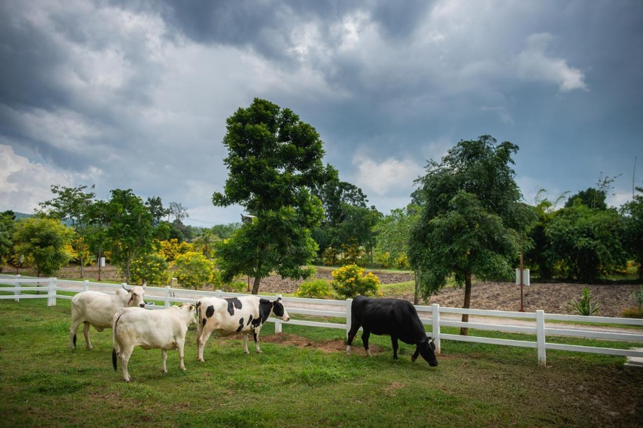 Green Me Organic Farm Stay Khaoyai Ban Khlong Yang Luaran gambar