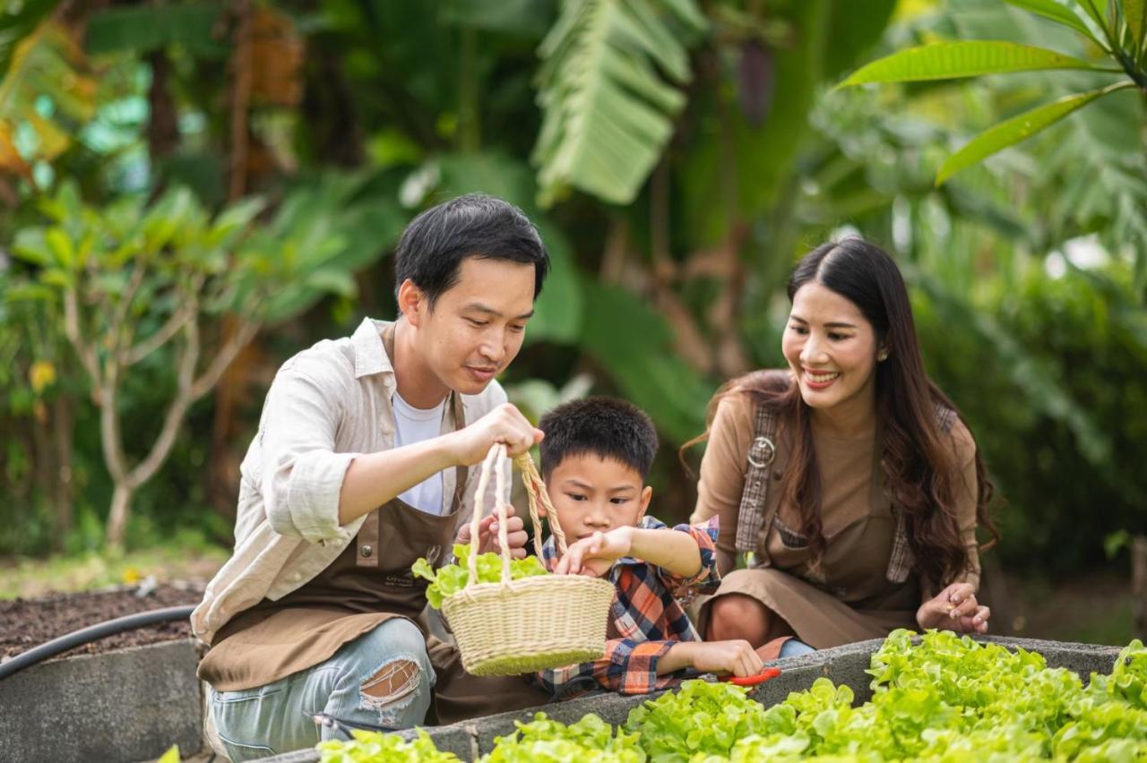 Green Me Organic Farm Stay Khaoyai Ban Khlong Yang Luaran gambar